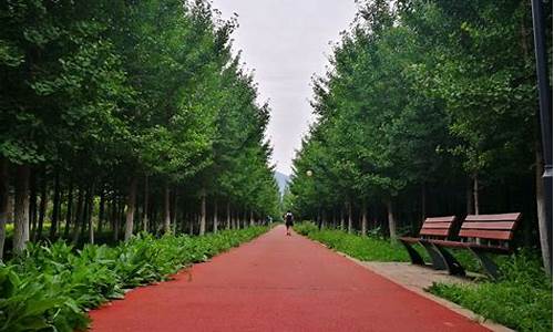 丹青圃公园在北京哪里啊,丹青圃公园在北京