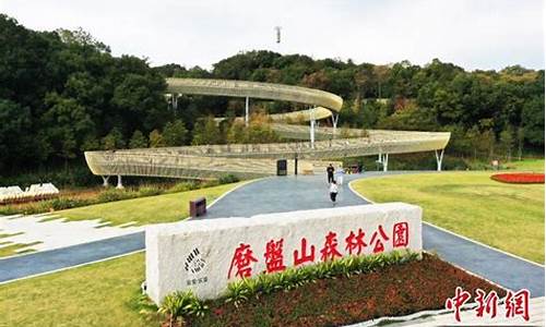 金山森林公园和磨盘山哪个好玩_金山森林公园怎么样