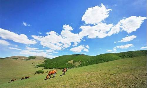 丰宁坝上草原旅游攻略自驾游路线最新_丰宁坝上草原旅游攻略2天