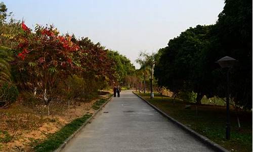 广州龙头山有几个门,广州龙头山森林公园好玩