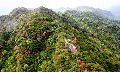 南岭森林公园在哪里_南岭国家森林公园门票是多少钱?