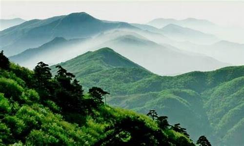 天目山旅游攻略三日游推荐路线,天目山三日游价格