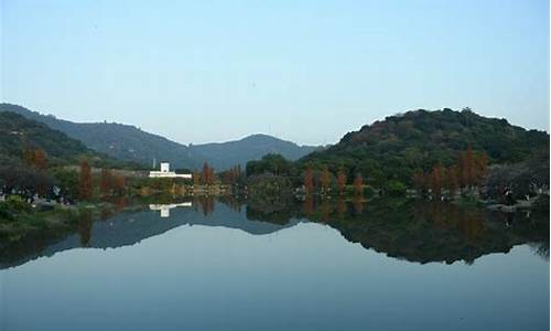 萝岗香雪公园开展共享青梅_萝岗香雪公园春节开门吗