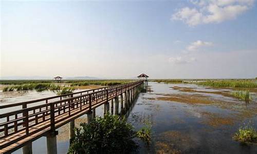 崇明岛旅游攻略景点必去_崇明岛旅游攻略一日游路线