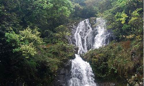 怎样到旗山森林公园,旗山公园怎么走