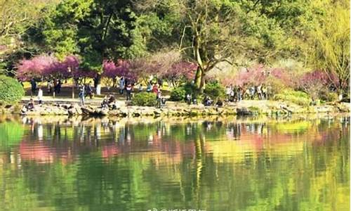 杭州春季游玩胜地,杭州春季旅游攻略路线