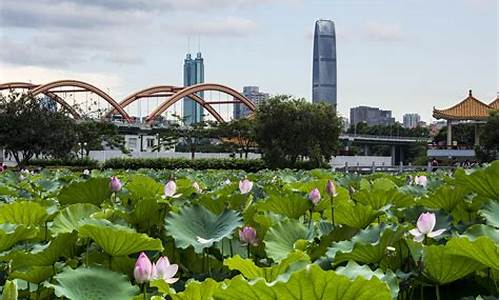 深圳洪湖公园地铁站_深圳洪湖公园地铁站3号线哪站下车