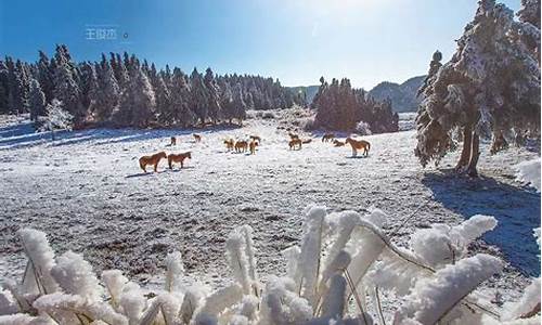 武隆冬天会下雪吗,冬天武隆旅游攻略