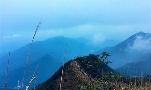 梧桐山旅游攻略推荐路线一日游_梧桐山景区门票