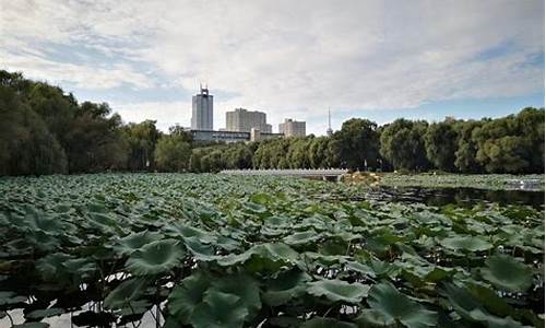 保定南湖公园_保定南湖公园规划图