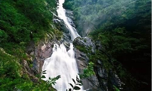 天目山旅游攻略杭州-杭州天目山景区好玩吗