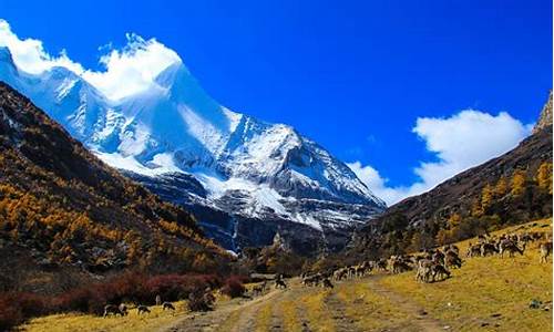 稻城亚丁旅游景点大全-稻城亚丁旅游攻略五天必去景点