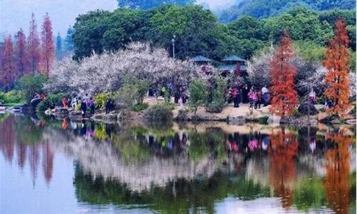 广州春季旅游景点_广州春季旅游景点推荐
